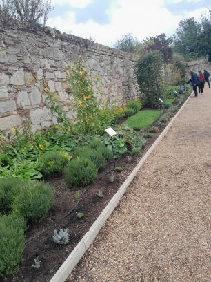 Ely Garden